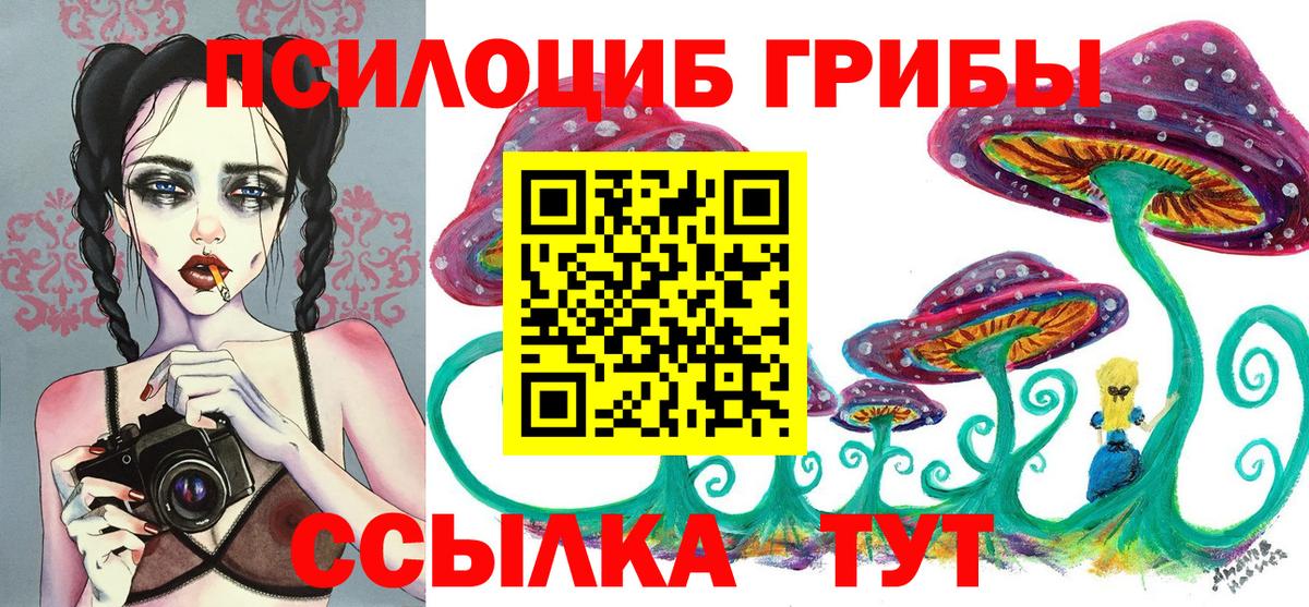 Королёв  Псилоцибиновые грибы мухоморы  Псилоцибиновые грибы мухоморы  Вход с VPN 